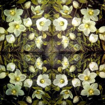 WBL-225 Christmas Flowers - 3-ply - HCA Collection